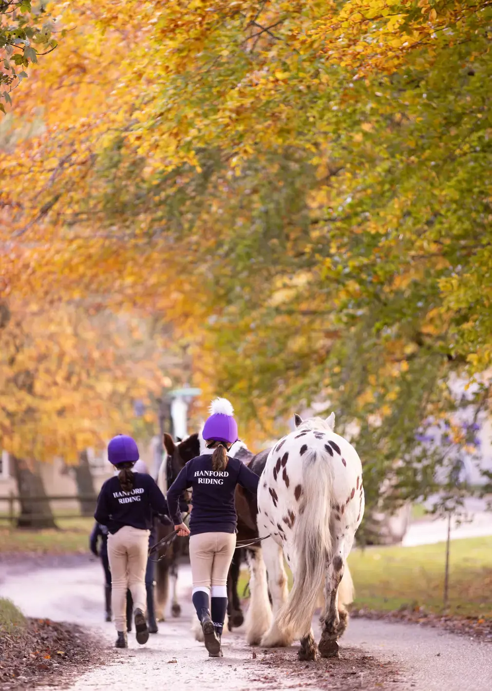 Students Leading Horses