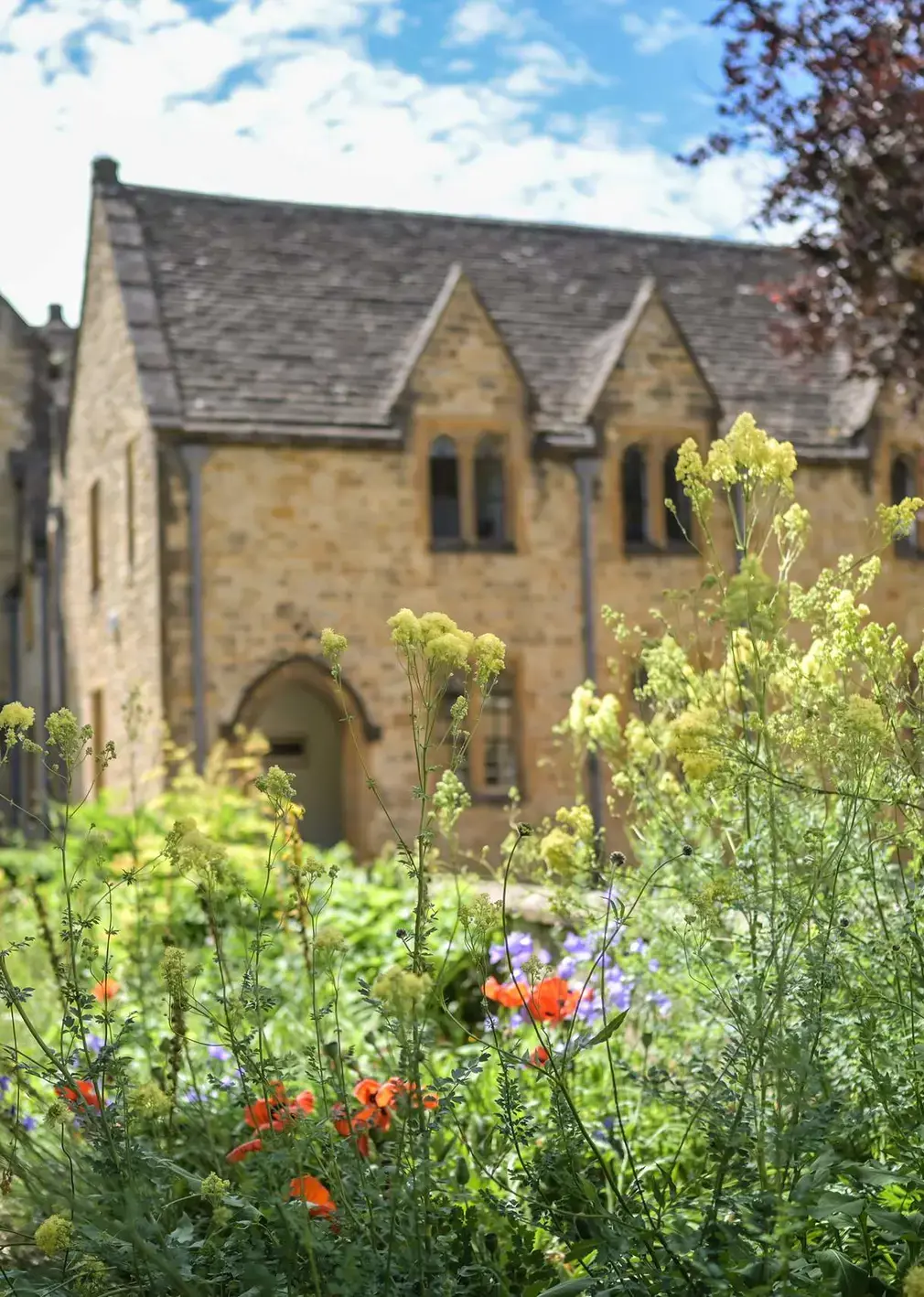 Sherborne Boys Campus Gardens