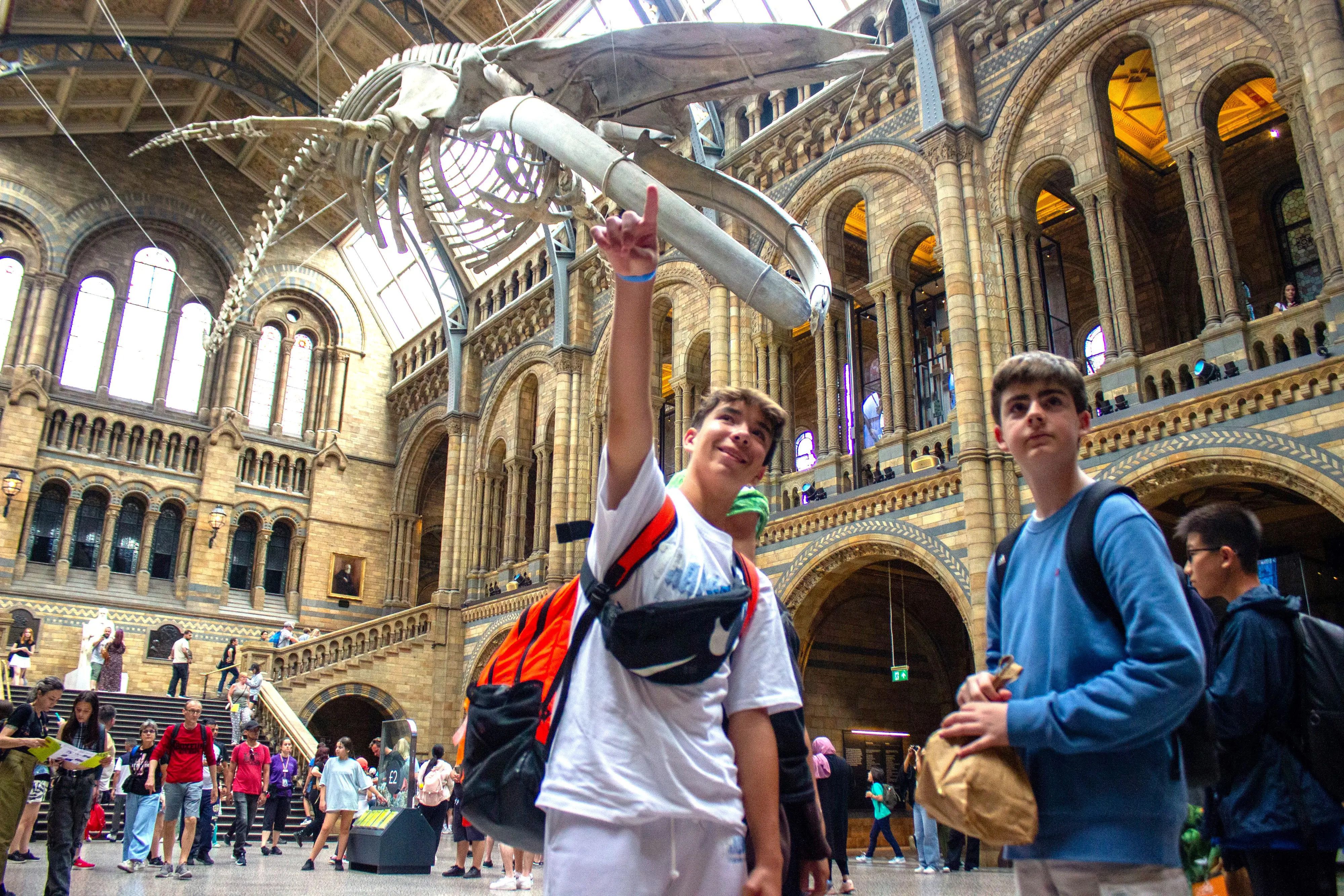 OptimizedImage,,,Optimized