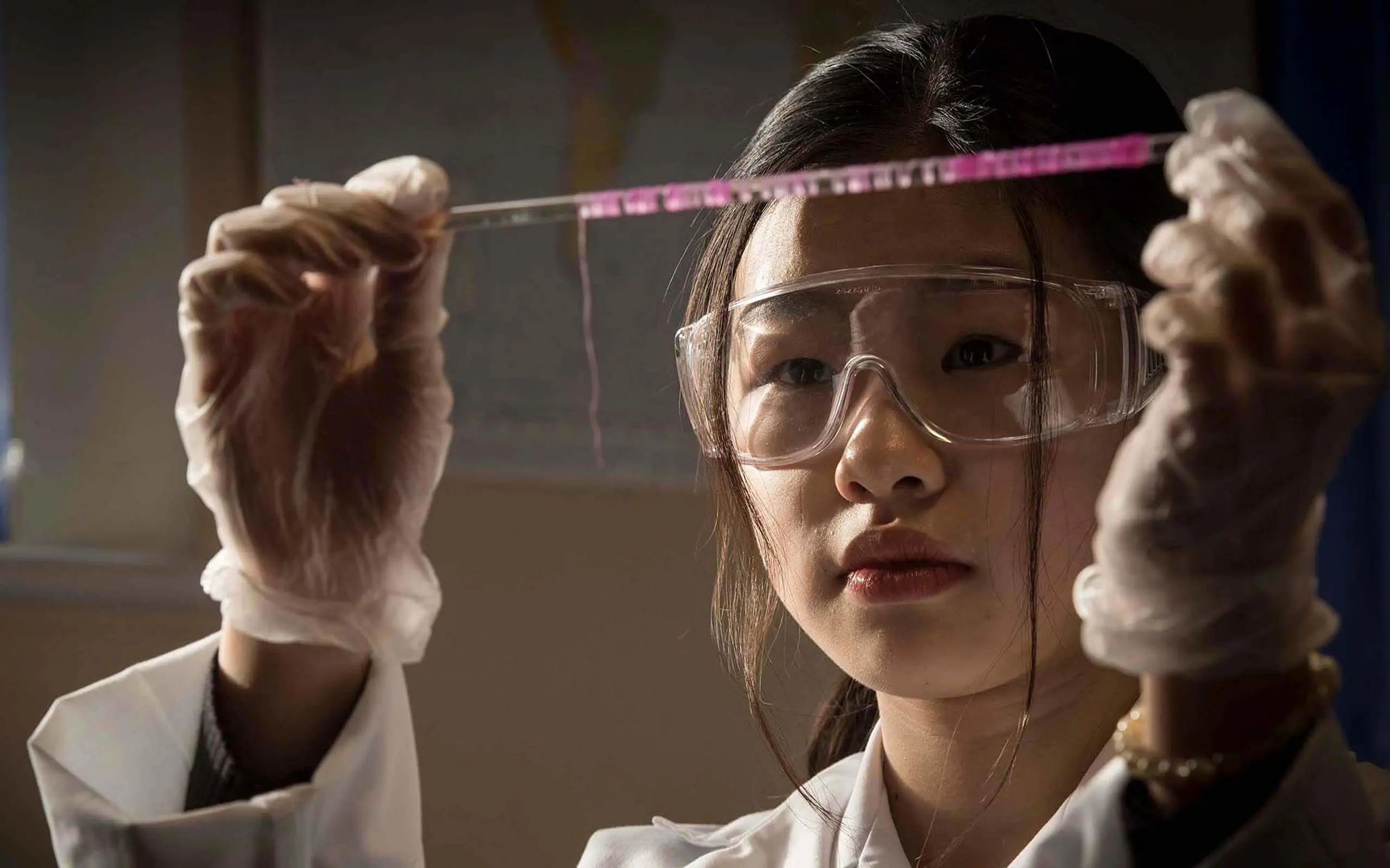  OptimizedImage,,,Optimized