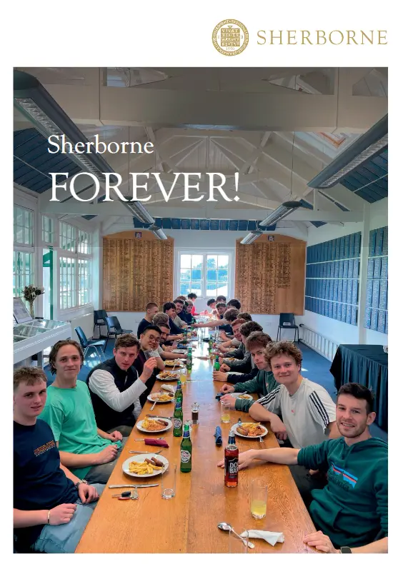  OptimizedImage,,,Optimized