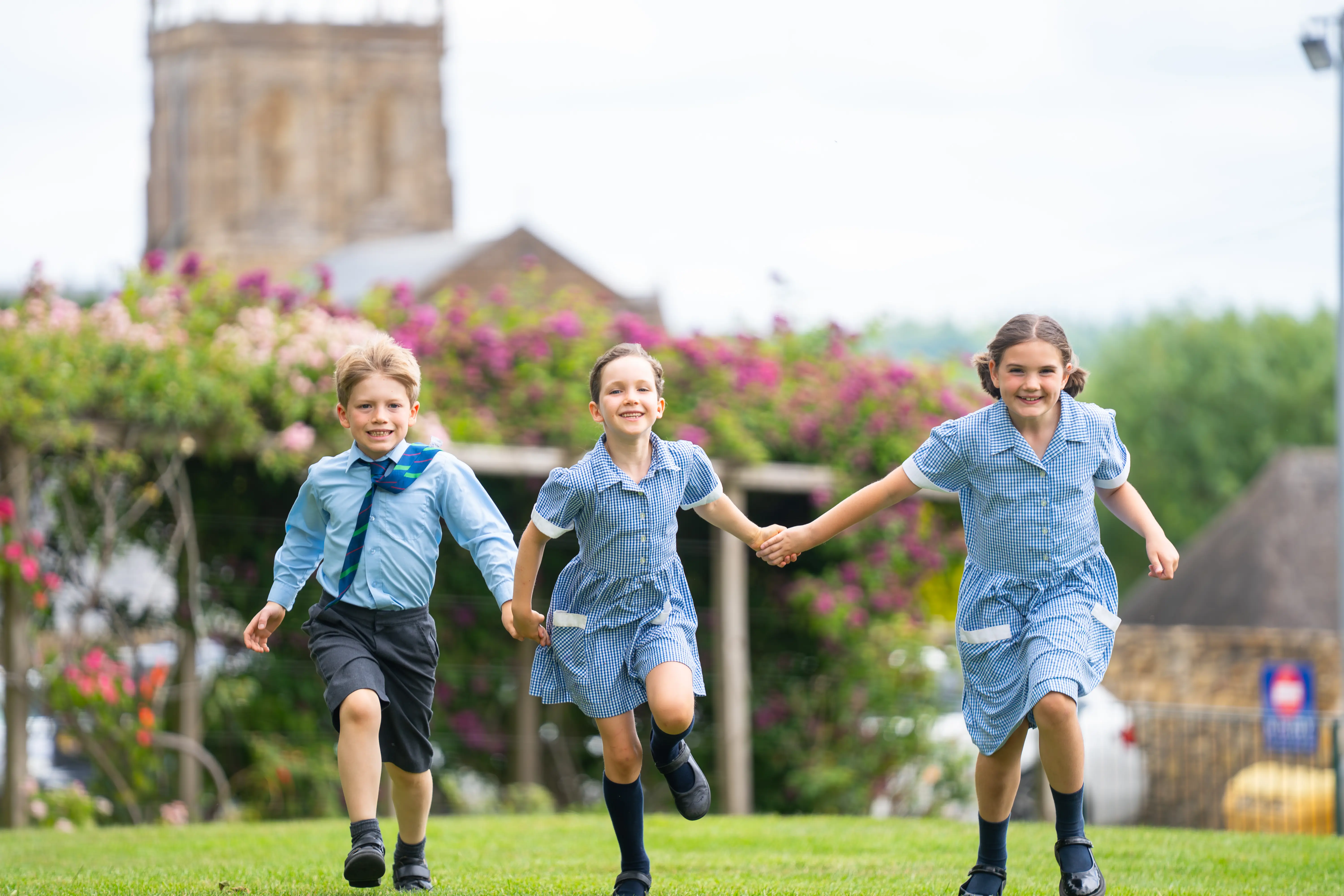  OptimizedImage,,,Optimized