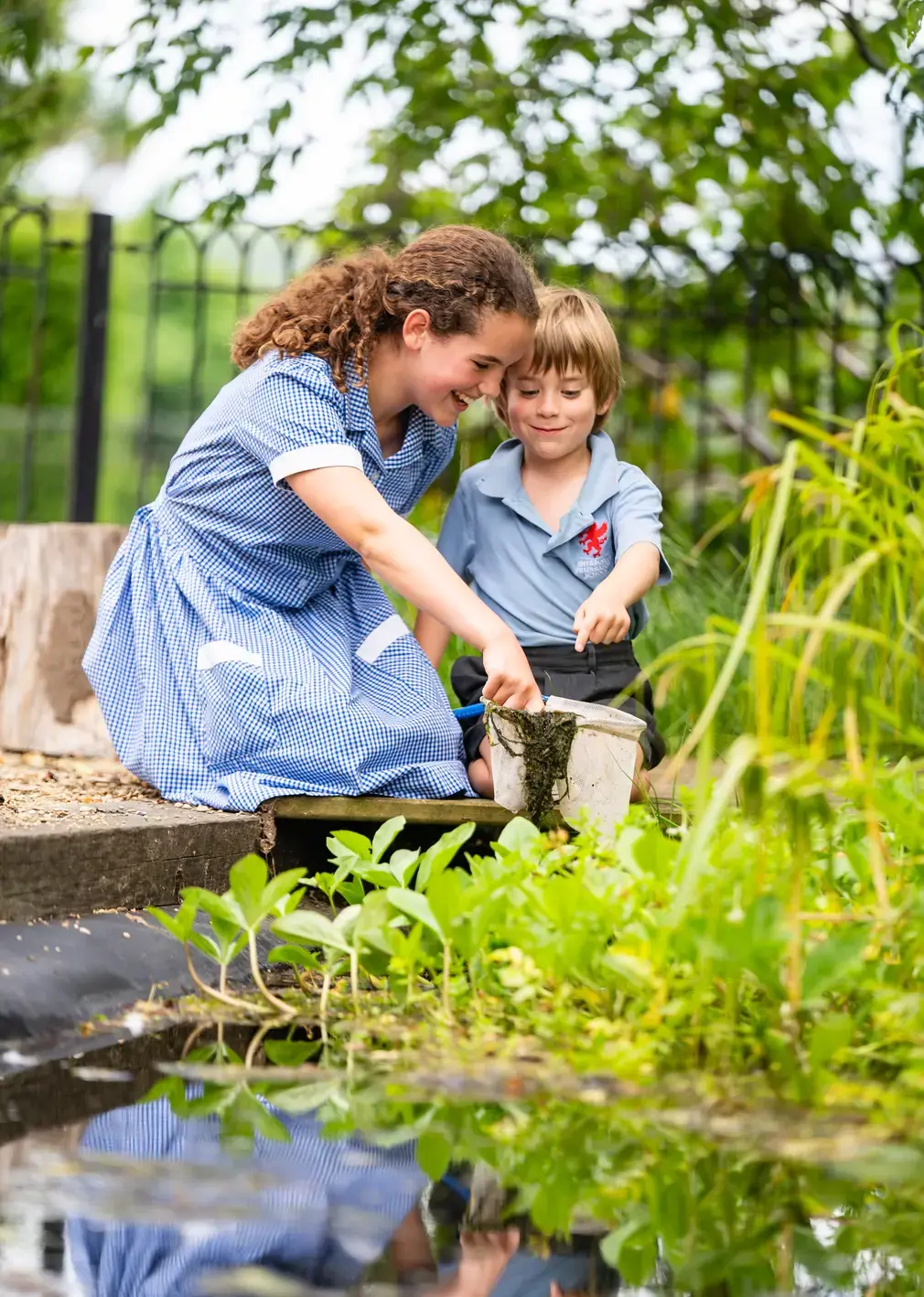 content,right table image