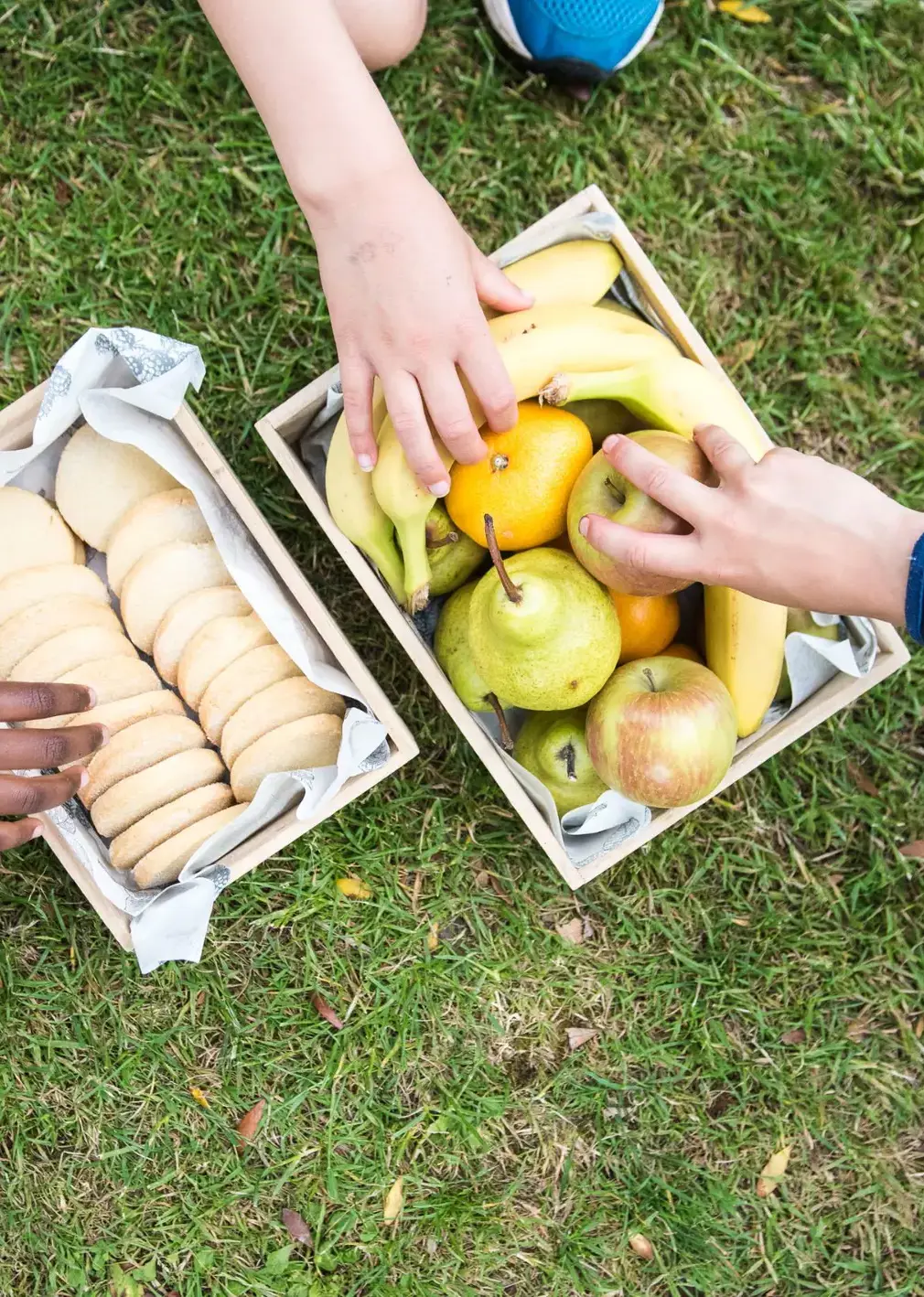 Students Arranging Fruit Boxes