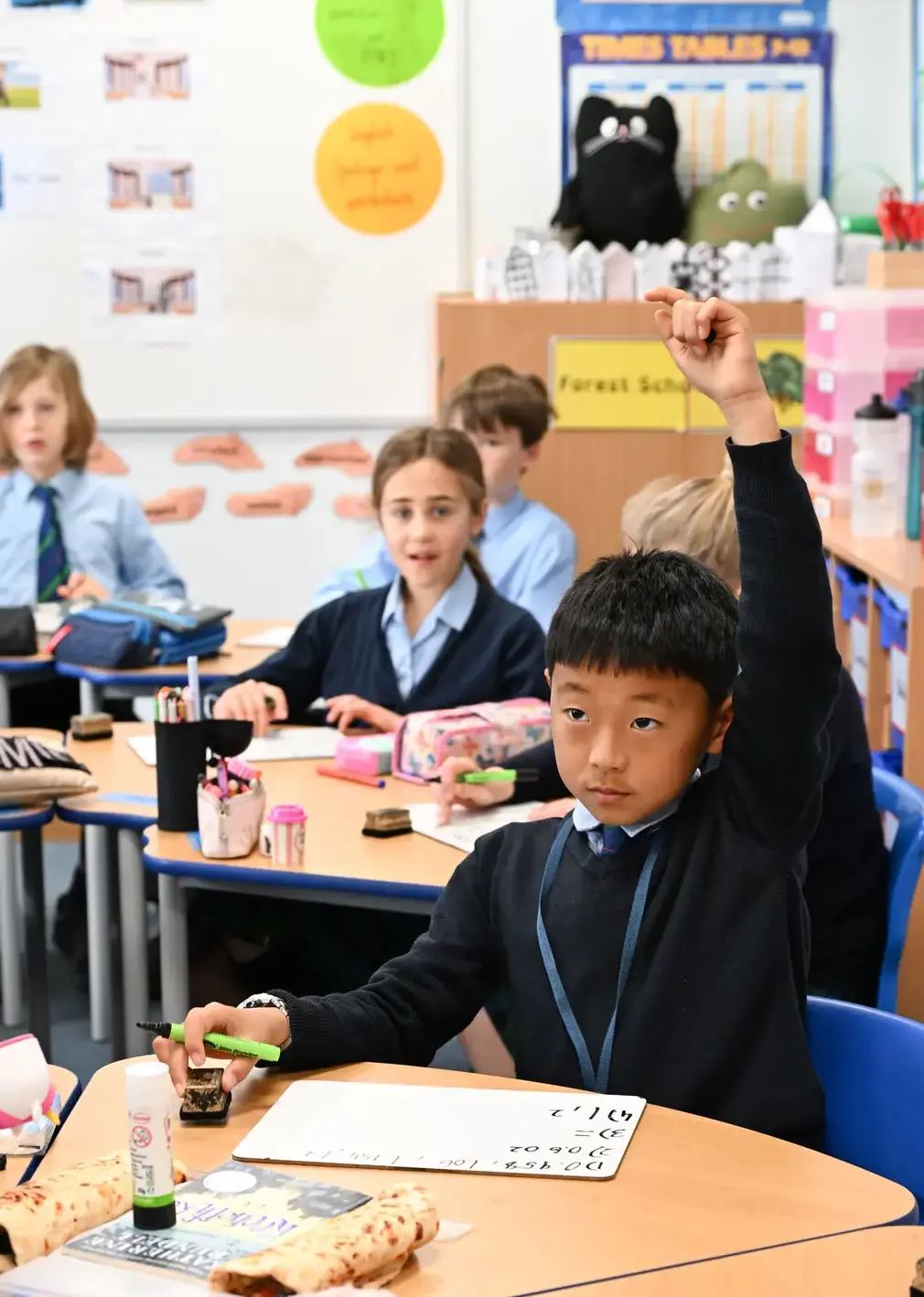 Student Raising Hand in math Class