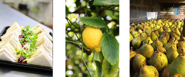 Hanford garden Produce