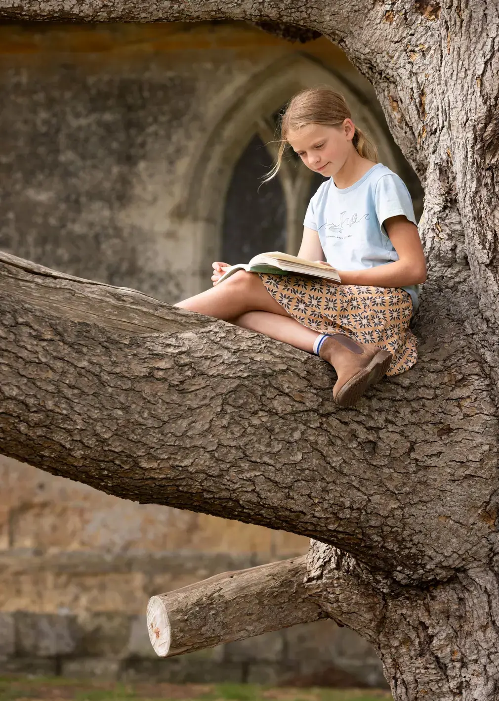 Student Reading Book in Tree