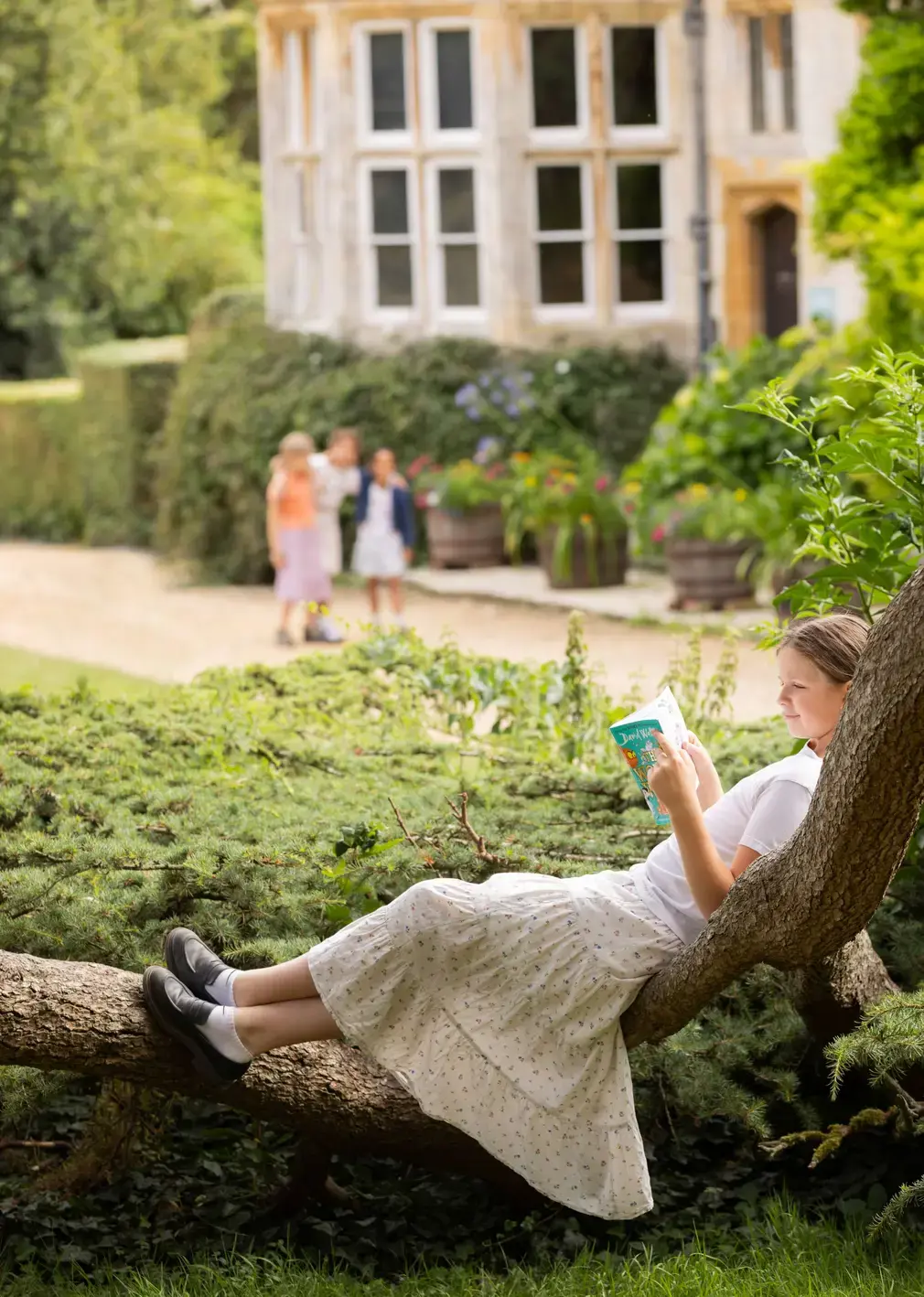 Student Reading Book in Tree