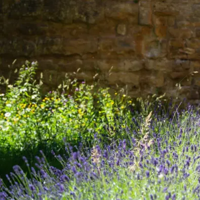  OptimizedImage,,boys,Optimized