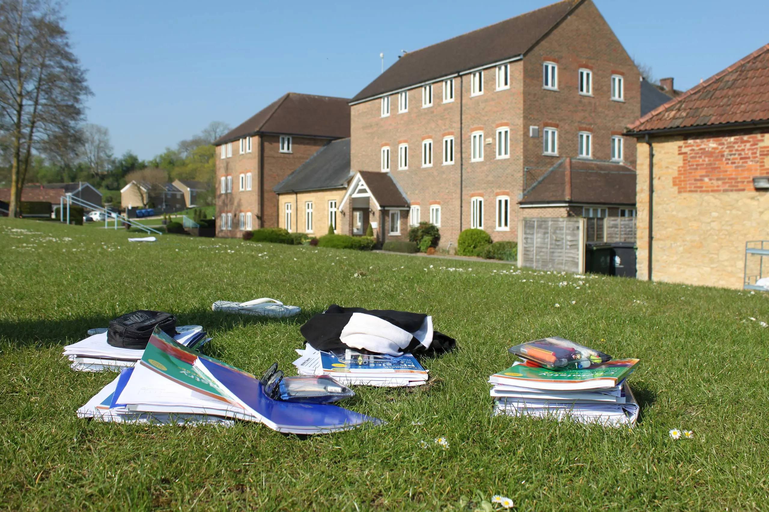  OptimizedImage,,,Optimized