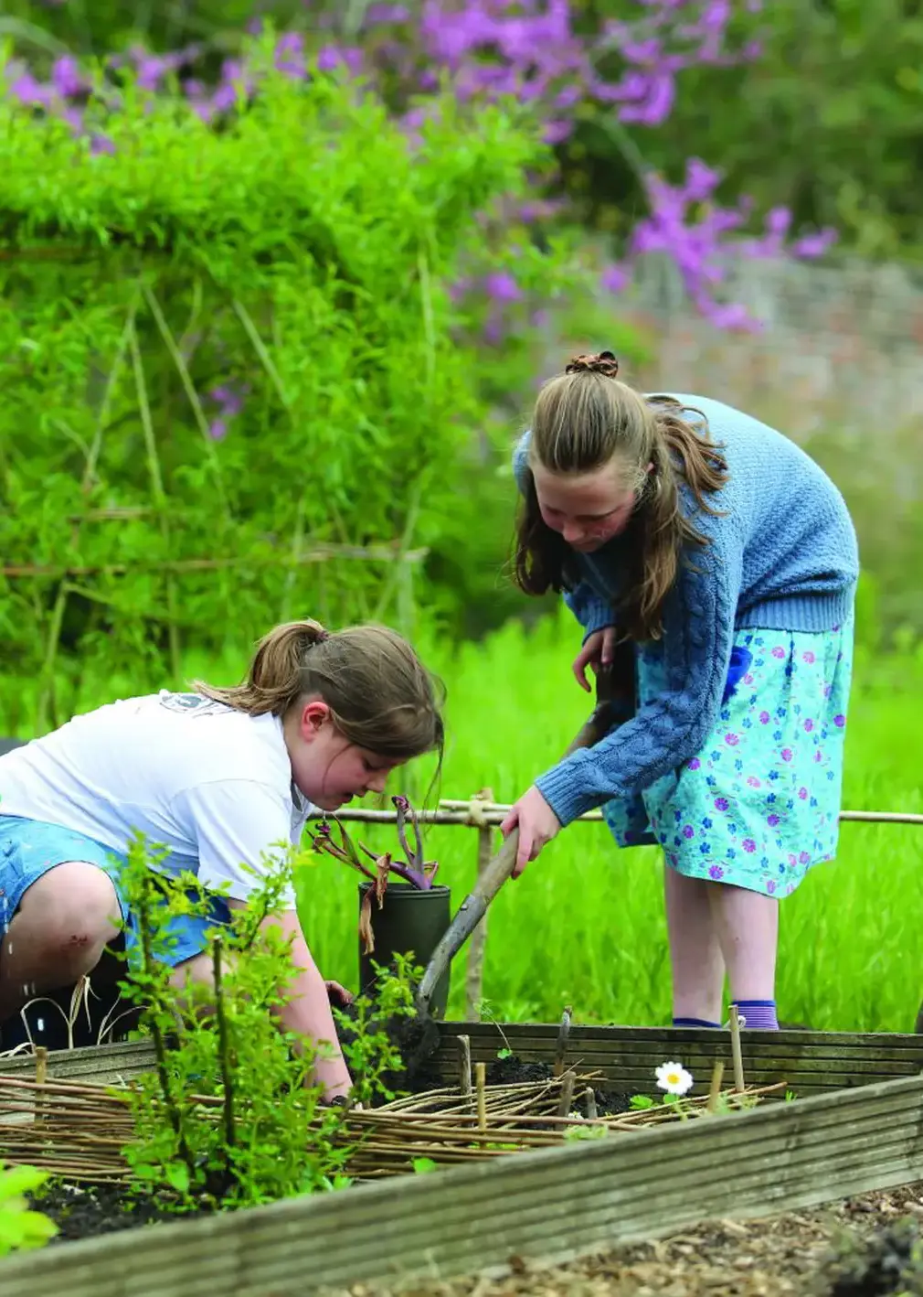 Girls Gardening and Planting Vegetables