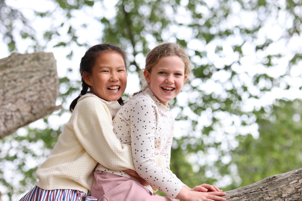 Students In Tree Together Hugging and Smiling