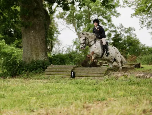 OptimizedImage,,,Optimized