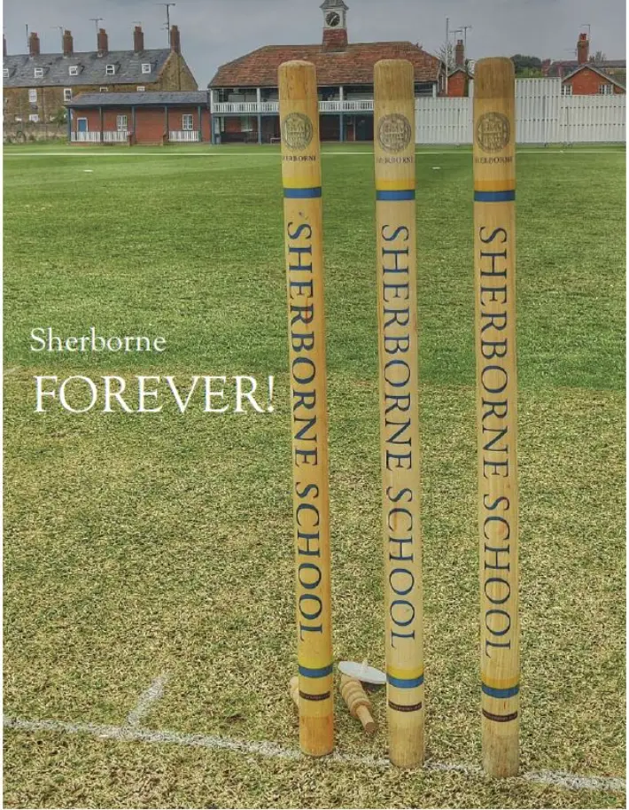 OptimizedImage,,,Optimized